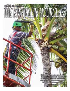 Ebil Loeak, a veteran tree trimmer with the Buildings and Grounds department on Kwajalein, clears a tall coconut palm of ripe coconuts and palm fronds near the REB Tuesday. For more, see page 3. Photo by Jordan Vinson