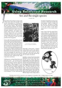 Sex and the single species November 1997 Suspended in the rainforest canopy some twenty metres above the ground, I find myself surrounded by a multitude of