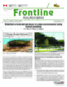 Canadian Forest Service - Sault Ste. Marie  Technical Note No. 111 Detection of emerald ash borer in urban environments using branch sampling