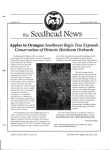 Seedhead News - No. 93, Summer Solstice 2006