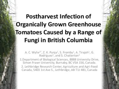 Postharvest Infection of Organically Grown Greenhouse Tomatoes Caused by a Range of Fungi in British Columbia