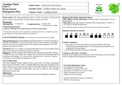 Nodding Thistle Class 4 Weed Control Management Plan  Asteraceae (Daisy family)