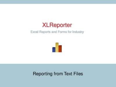 XLReporter Excel Reports and Forms for Industry Reporting from Text Files www.TheReportCompany.com