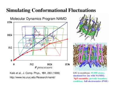 Simulating Conformational Fluctuations Molecular Dynamics Program NAMD