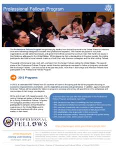 Professional Fellows Program  The Professional Fellows Program brings emerging leaders from around the world to the United States for intensive short-term fellowships designed to broaden their professional expertise. The