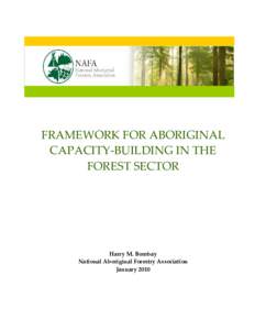Framework for Aboriginal Capacity-Building