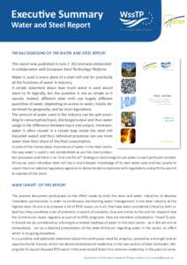 Executive Summary Water and Steel Report THE BACKGROUND OF THE WATER AND STEEL REPORT  This report was published in Juneand was elaborated