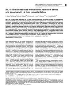 IGL-1 solution reduces endoplasmic reticulum stress and apoptosis in rat liver transplantation