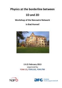 Physics at the borderline between 1D and 2D Workshop of the Nanowire Network in Bad HonnefFebruary 2013