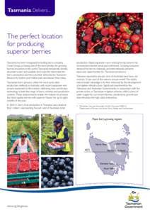 Tasmania Delivers...  The perfect location for producing superior berries Tasmania has been recognised by leading berry company,