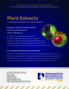 PENNINGTON BIOMEDICAL RESEARCH CENTER OFFICE OF BUSINESS DEVELOPMENT & COMMERCIALIZATION Plant Extracts [ Angiogenesis Inhibitor, Anti-Inflammatory ] Angiogenic agents from plant extracts,
