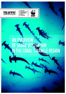 WORKING TOGETHER FOR SUSTAINABLE SHARK FISHERIES