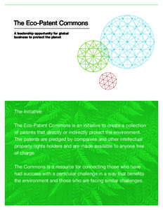 The Eco-Patent Commons A leadership opportunity for global business to protect the planet The Initiative: The Eco-Patent Commons is an initiative to create a collection