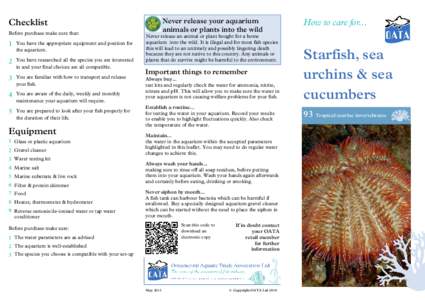 93 Starfish, sea urchins and sea cucumbers