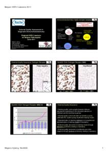 Microsoft PowerPoint - Vyberg-Belgium-0611