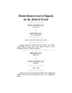 United States Court of Appeals for the Federal Circuit ______________________ BLUE CALYPSO, LLC, Appellant