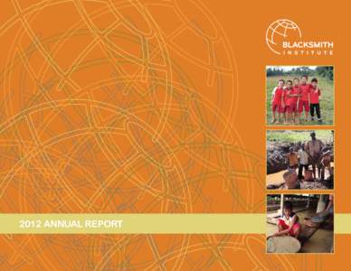 2012 ANNUAL REPORT  Chapter Title 2