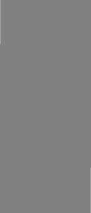 IKLIN NEWS, DELMONT SALEM NEWS, PENN TRAFFORD NEWS- Monday, November 10, [removed]Pin·k Steel dragon boat team tak~s second in international competition Pink Steel, the breast cancer survivor team of
