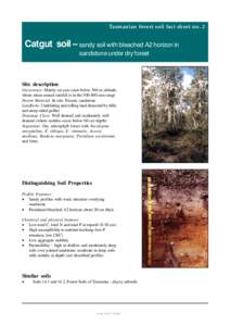 Tasmanian forest soil fact sheet no. 2  Catgut soil – sandy soil with bleached A2 horizon in sandstone under dry forest  Site description