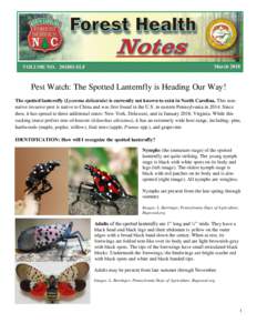 MarchVOLUME NOSLF Pest Watch: The Spotted Lanternfly is Heading Our Way! The spotted lanternfly (Lycorma delicatula) is currently not known to exist in North Carolina. This nonnative invasive pest is nati