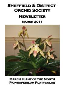 Sheffield & District Orchid Society Newsletter MarchMarch plant of the Month