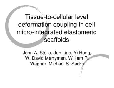 Tissue-to-cellular level  deformation coupling in cell micro-integrated elastomeric scaffolds