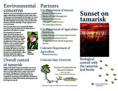 Environmental Partners U.S. Department of Interior concerns Research on the tamarisk leaf beetle has been one of the largest undertakings in biological control to date. More time has gone into assessing the beetle’s im
