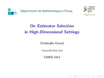 On Estimator Selection in High-Dimensional Settings Christophe Giraud Universit´ e Paris Sud