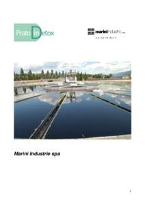 Marini Industrie spa  1 Case study: APEO’s investigation report Prato, August 2016