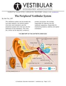 By Kim Fox, DPT The vestibular system can be divided into two main systems: the central system (the brain and brainstem) and the peripheral system (the inner ear and the pathways to the brainstem). The inner