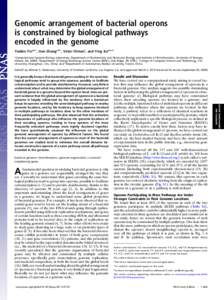 Genomic arrangement of bacterial operons is constrained by biological pathways encoded in the genome Yanbin Yina,b,1, Han Zhanga,d,1, Victor Olmana, and Ying Xua,b,c,2 a Computational Systems Biology Laboratory, Departme