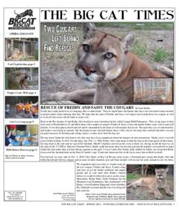 Felids / Panthera / Fauna of Asia / Biota / Leopards / Predation / Big Cat Rescue / Snow leopard / Cats / Big cat / Phantom cat / Simba
