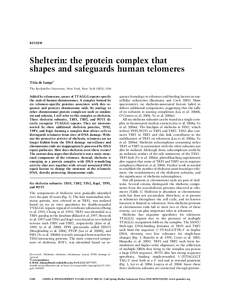REVIEW  Shelterin: the protein complex that shapes and safeguards human telomeres Titia de Lange1 The Rockefeller University, New York, New York 10021, USA