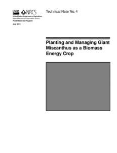 Planting and Managing Giant Miscanthus as a Biomass Energy Crop