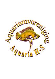 Aquaria H-S. Aquariumvereniging Aquaria H-S. OpgerichtAangesloten bij de NBAT. Voorzitter Nico Bulthuis Achterdiep ZZ 16, Sappemeer