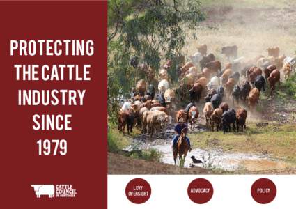 PROTECTING THE CATTLE INDUSTRY SINCE 1979 Levy