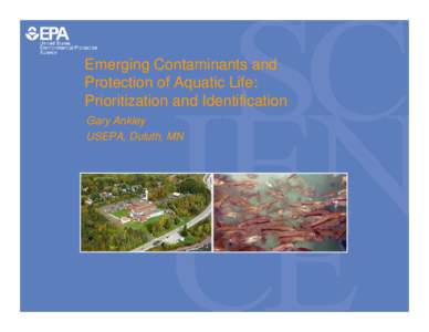 Emerging Contaminants and Protection of Aquatic Life: Prioritization and Identification Gary Ankley USEPA, Duluth, MN