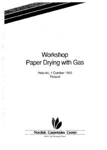 Workshop Paper Drying with Gas Helsinki, 1 October 1992 Finland  Nordisk Gasteknisk Center