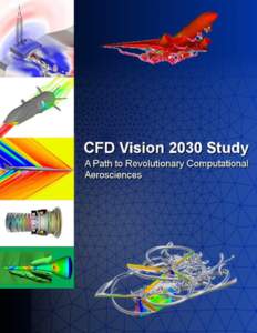 This Page Intentionally Left Blank  CFD Vision 2030 Study: A Path to Revolutionary Computational Aerosciences  NASA Vision 2030 CFD Code