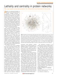 brief communications  Lethality and centrality in protein networks The most highly connected proteins in the cell are the most important for its survival. roteins are traditionally identified on the basis of their indivi