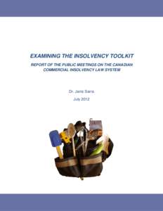 Sarra Examining the Insolvency Toolkit Report Submitted