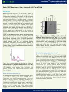 AptoPrepTM Aptoprecipitation Kit APPLICATION NOTE Anti-EGFR aptamer, Dual Magnetic AP/Co-AP Kit Introduction
