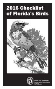 Artwork by Ann Marie Tavares  2016 Checklist of Florida’s Birds Prepared by Dr. Greg Schrott and Andy Wraithmell The Florida Fish and Wildlife Conservation Commission