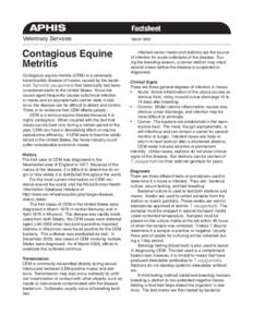 Contagious equine metritis / Taylorella equigenitalis / Equus / Livestock / Equidae / Stallion / Mare / Cem / Equine venereal disease / Metritis
