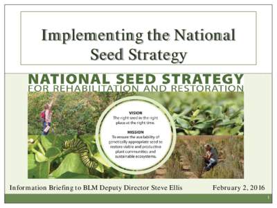 Implementing the National Seed Strategy Information Briefing to BLM Deputy Director Steve Ellis  February 2, 2016