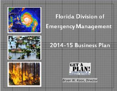 EXECUTIVE SUMMARY The Florida Division of Emergency Management (FDEM) is pleased to present theFDEM Business Plan. This Plan reflects the collective input from the Division’s management team representing ou
