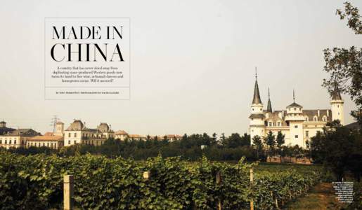 MADE IN  CHINA A country that has never shied away from duplicating mass-produced Western goods now turns its hand to fine wine, artisanal cheeses and
