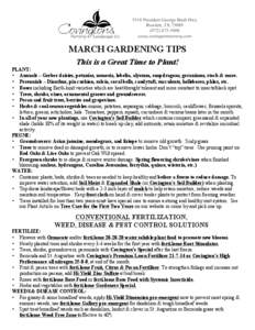 MARCH GARDENING TIPS This is a Great Time to Plant! PLANT: • Annuals – Gerber daisies, petunias, nemesia, lobelia, alyssum, snapdragons, geraniums, stock & more. • Perennials – Dianthus, pin cushion, salvia, cora