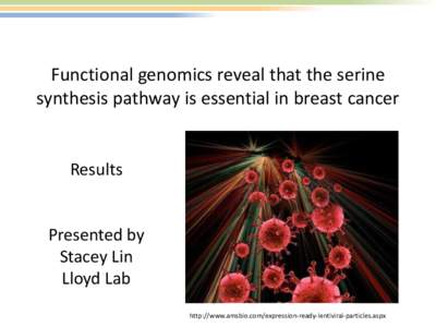 Functional genomics reveal that the serine synthesis pathway is essential in breast cancer Results  Presented by
