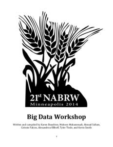 Microsoft Word - Final NABRW Big Data Workshop 06_27.docx